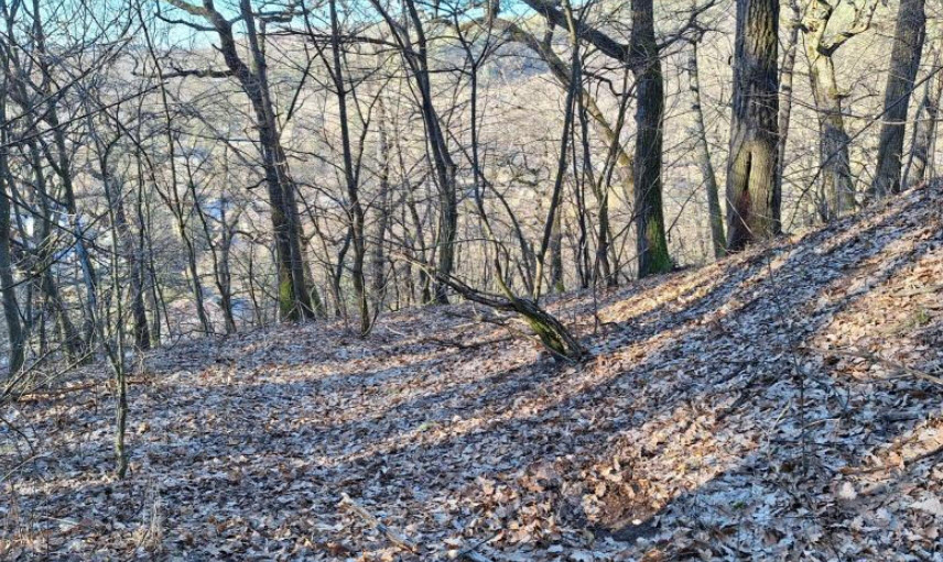 Zagyvafő Vár Romjai, Hungary